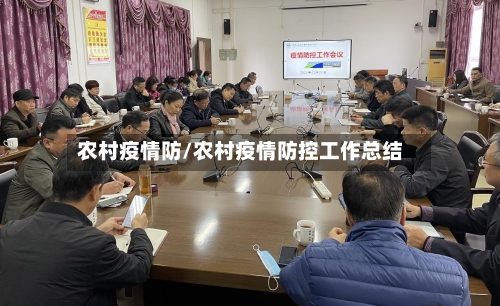 农村疫情防/农村疫情防控工作总结