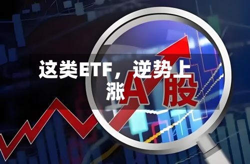 这类ETF，逆势上涨