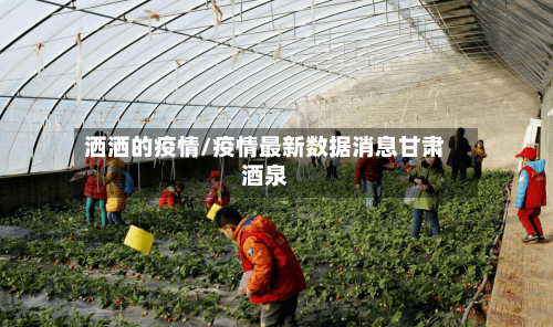 洒洒的疫情/疫情最新数据消息甘肃酒泉-第2张图片