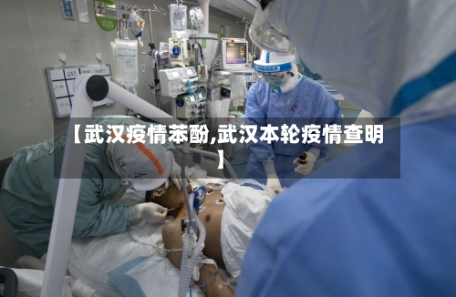 【武汉疫情苯酚,武汉本轮疫情查明】