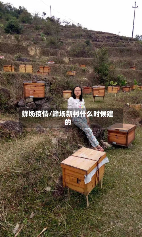 蜂场疫情/蜂场新村什么时候建的