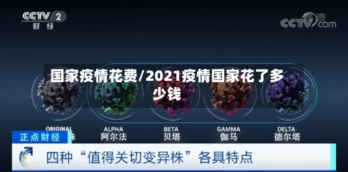 国家疫情花费/2021疫情国家花了多少钱