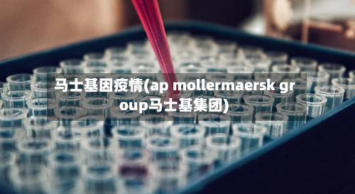 马士基因疫情(ap mollermaersk group马士基集团)-第3张图片