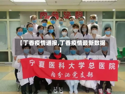 【丁香疫情通报,丁香疫情最新数据】-第2张图片