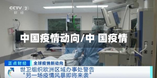 中国疫情动向/中 国疫情