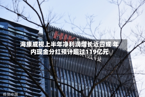 海康威视上半年净利润增长近四成 年内现金分红预计超过119亿元-第2张图片