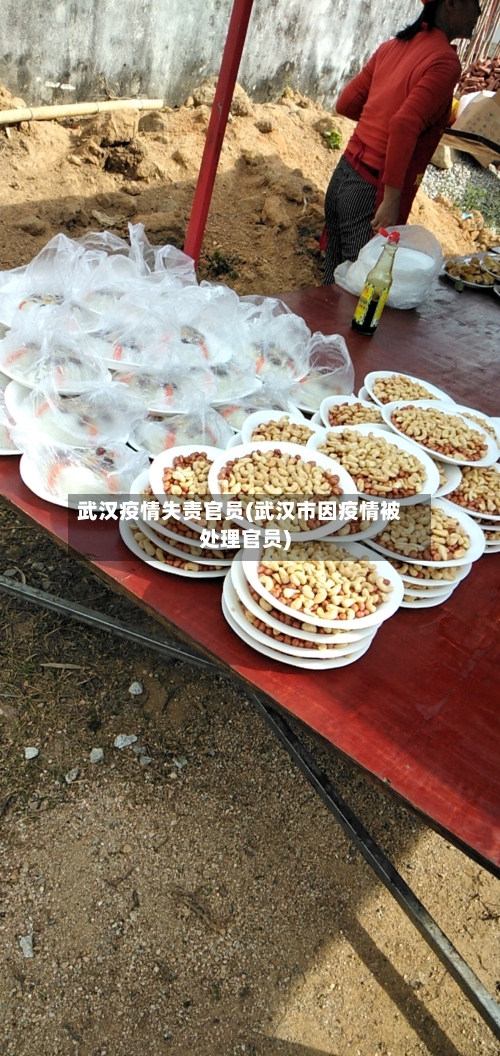 武汉疫情失责官员(武汉市因疫情被处理官员)-第3张图片