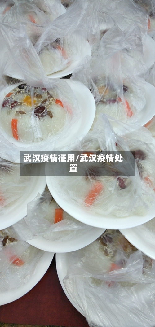 武汉疫情征用/武汉疫情处置