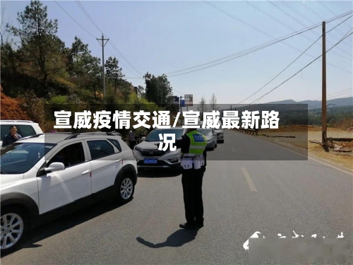 宣威疫情交通/宣威最新路况-第2张图片