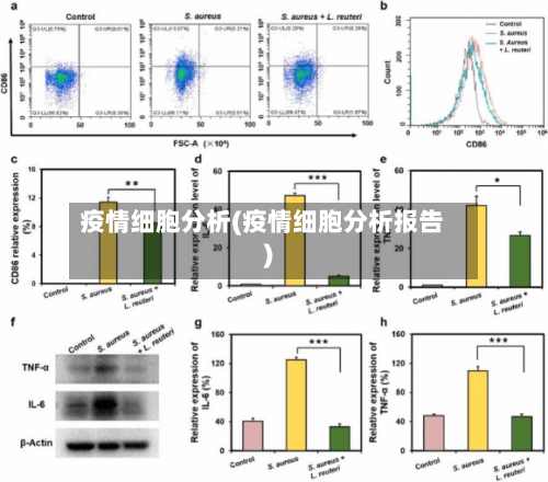 疫情细胞分析(疫情细胞分析报告)