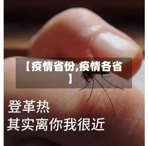 【疫情省份,疫情各省】-第2张图片