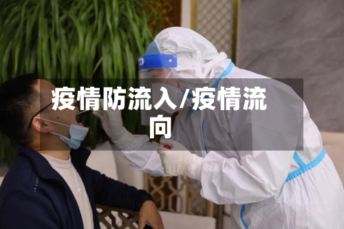 疫情防流入/疫情流向