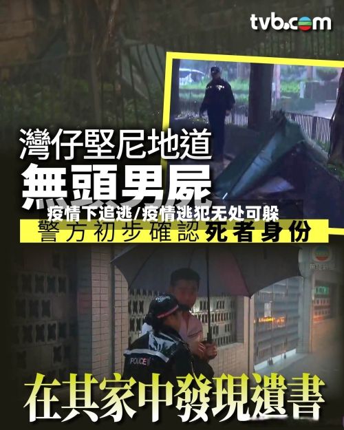 疫情下追逃/疫情逃犯无处可躲-第2张图片