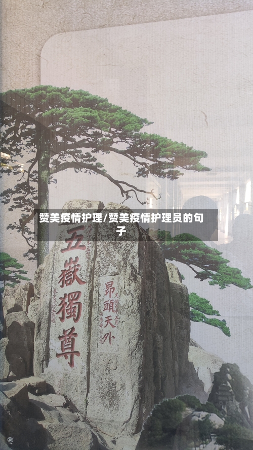 赞美疫情护理/赞美疫情护理员的句子-第2张图片