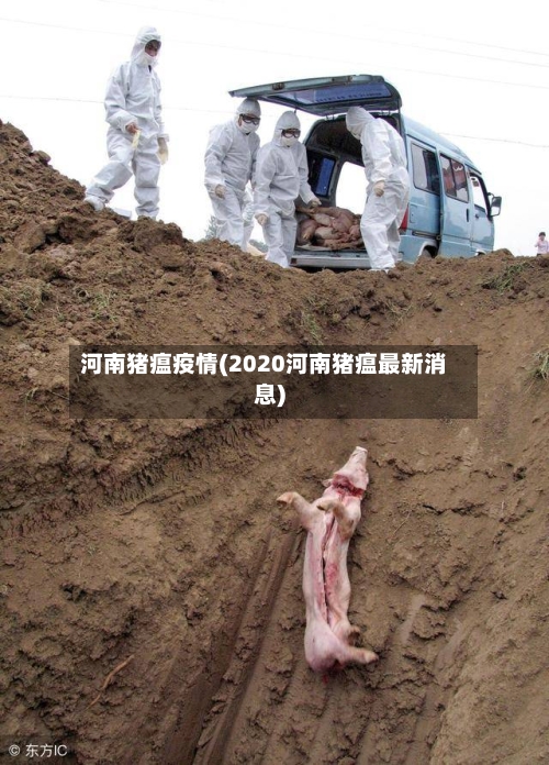 河南猪瘟疫情(2020河南猪瘟最新消息)-第2张图片