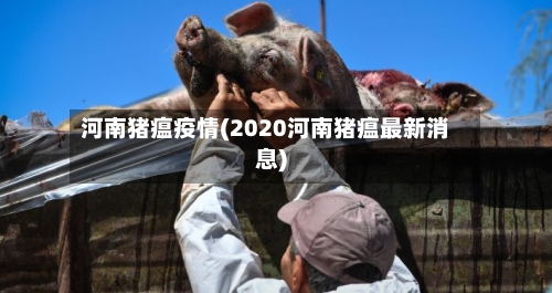 河南猪瘟疫情(2020河南猪瘟最新消息)-第3张图片