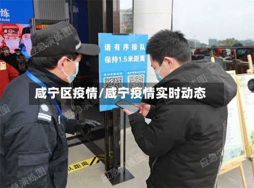咸宁区疫情/咸宁疫情实时动态