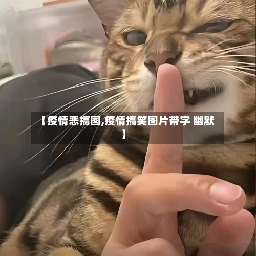 【疫情恶搞图,疫情搞笑图片带字 幽默】-第2张图片