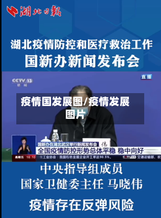 疫情国发展图/疫情发展图片