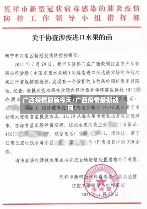 广西疫情最新今天/广西疫情最新动向-第2张图片