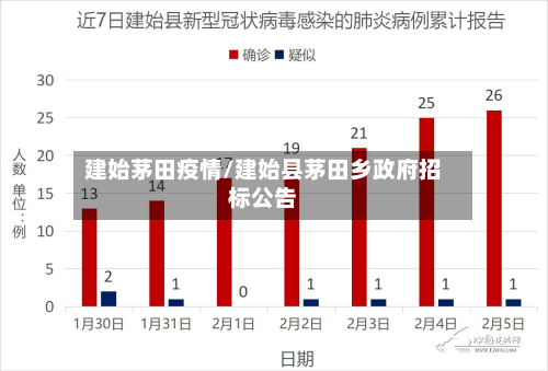 建始茅田疫情/建始县茅田乡政府招标公告-第3张图片