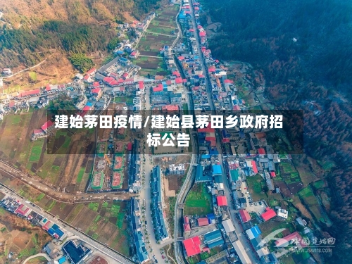 建始茅田疫情/建始县茅田乡政府招标公告-第2张图片