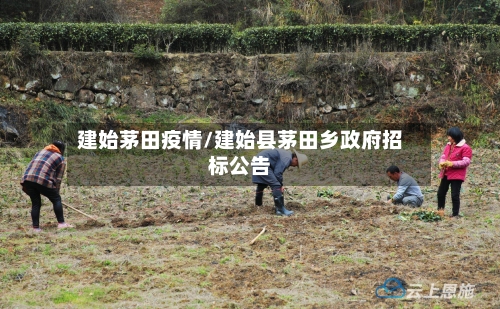 建始茅田疫情/建始县茅田乡政府招标公告
