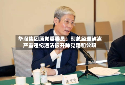 华润集团原党委委员、副总经理韩嵩严重违纪违法被开除党籍和公职