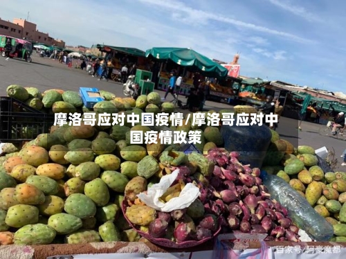 摩洛哥应对中国疫情/摩洛哥应对中国疫情政策-第3张图片