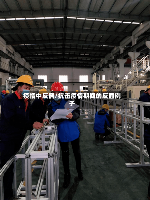 疫情中反例/抗击疫情期间的反面例子