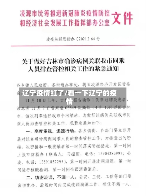 辽宁疫情红了/看一下辽宁的疫情-第2张图片