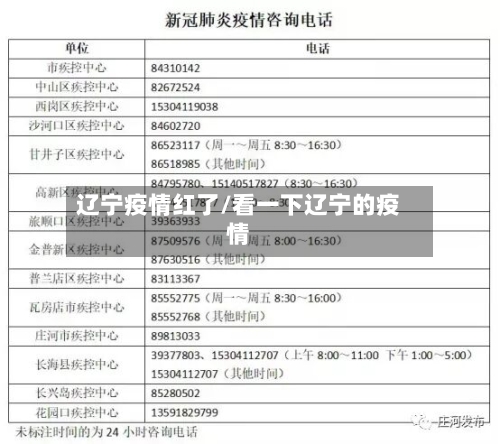 辽宁疫情红了/看一下辽宁的疫情-第3张图片