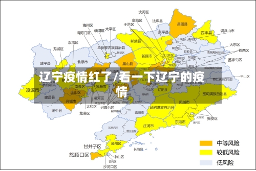辽宁疫情红了/看一下辽宁的疫情
