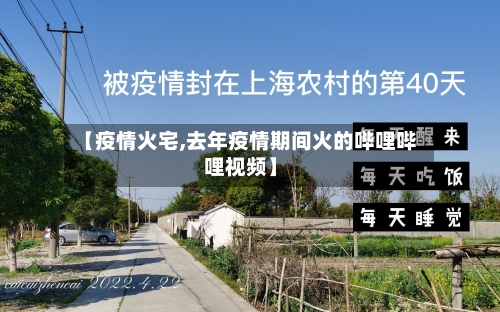 【疫情火宅,去年疫情期间火的哔哩哔哩视频】