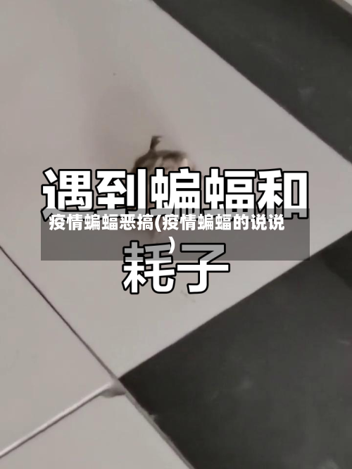 疫情蝙蝠恶搞(疫情蝙蝠的说说)