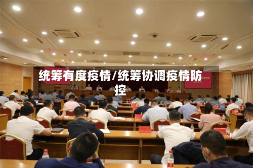 统筹有度疫情/统筹协调疫情防控