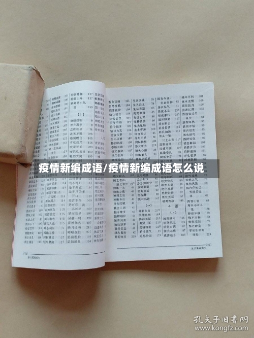 疫情新编成语/疫情新编成语怎么说-第3张图片