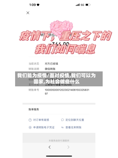我们能为疫情/面对疫情,我们可以为国家,为社会做些什么