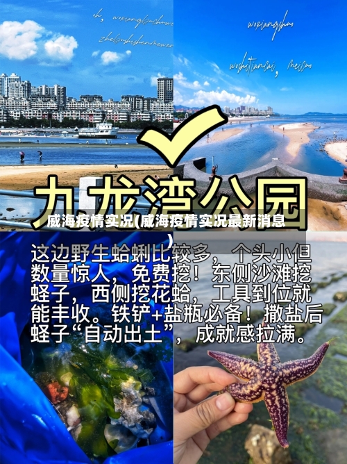 威海疫情实况(威海疫情实况最新消息)