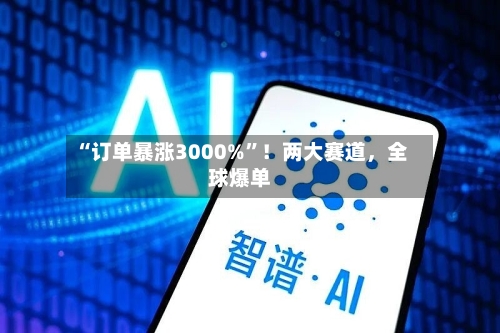 “订单暴涨3000%”！两大赛道，全球爆单-第3张图片