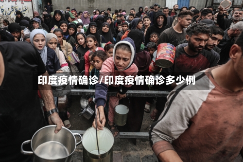 印度疫情确诊/印度疫情确诊多少例-第2张图片