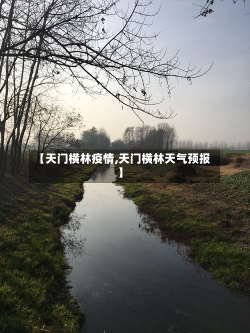【天门横林疫情,天门横林天气预报】-第2张图片