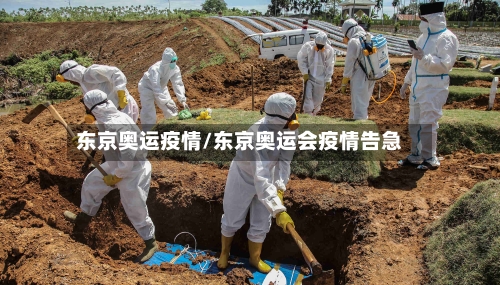 东京奥运疫情/东京奥运会疫情告急-第2张图片