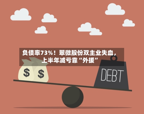 负债率73%！翠微股份双主业失血，上半年减亏靠“外援”-第3张图片