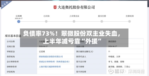 负债率73%！翠微股份双主业失血，上半年减亏靠“外援”-第2张图片