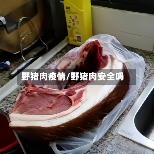 野猪肉疫情/野猪肉安全吗