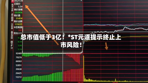 总市值低于3亿！*ST元道提示终止上市风险！