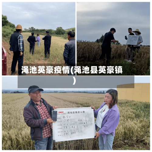 渑池英豪疫情(渑池县英豪镇)-第2张图片