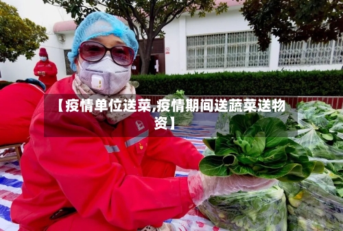 【疫情单位送菜,疫情期间送蔬菜送物资】-第3张图片