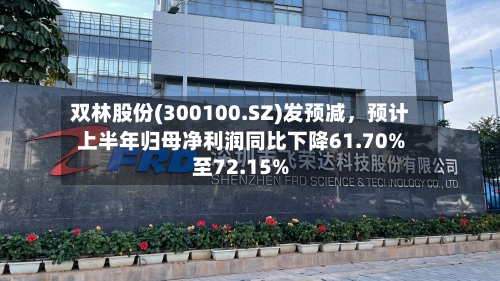双林股份(300100.SZ)发预减，预计上半年归母净利润同比下降61.70%至72.15%-第2张图片